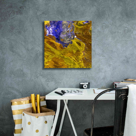 Image of 'Earth as Art: Lake Disappointment' Canvas Wall Art,18 x 18