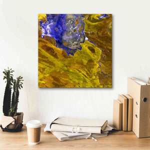 'Earth as Art: Lake Disappointment' Canvas Wall Art,18 x 18