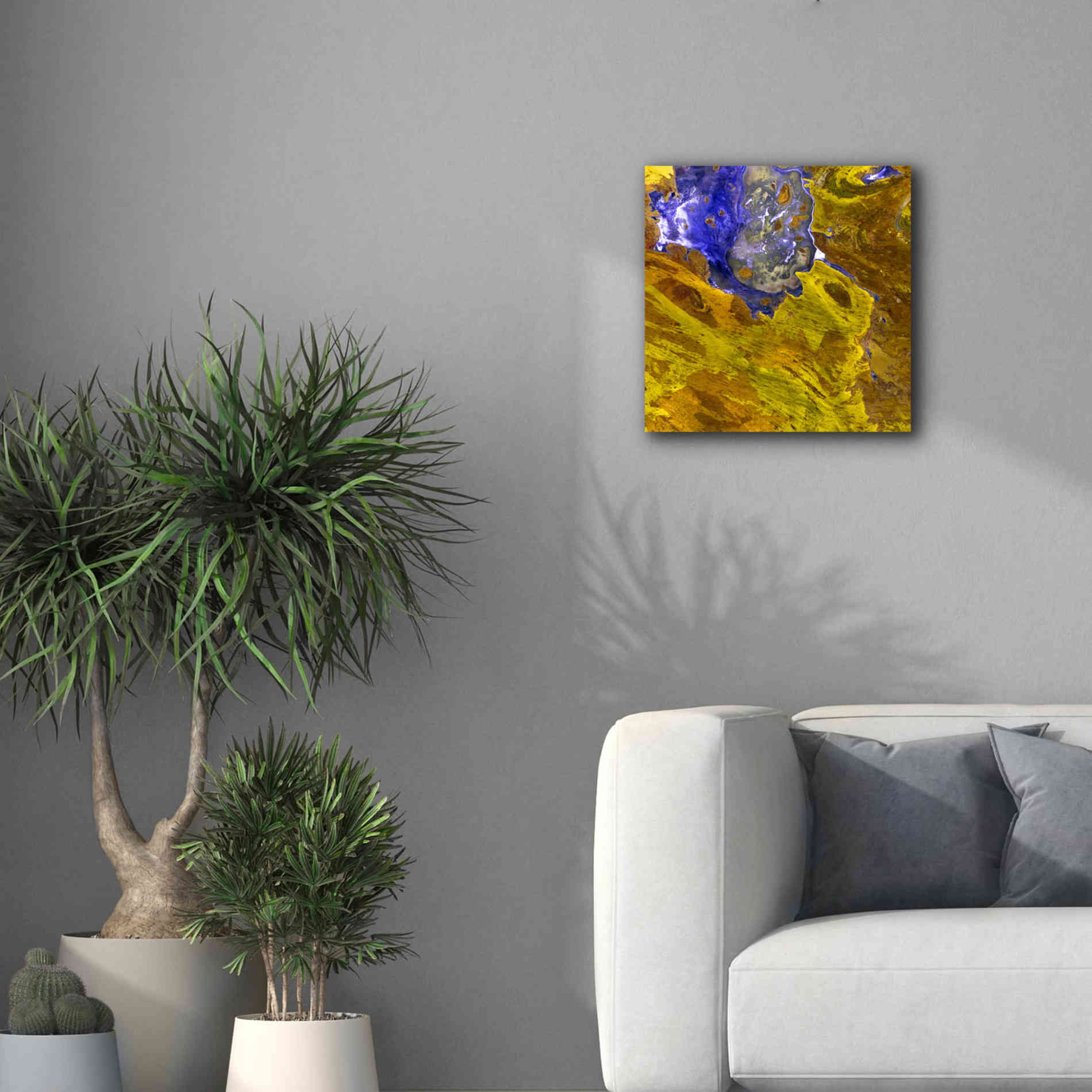 'Earth as Art: Lake Disappointment' Canvas Wall Art,18 x 18