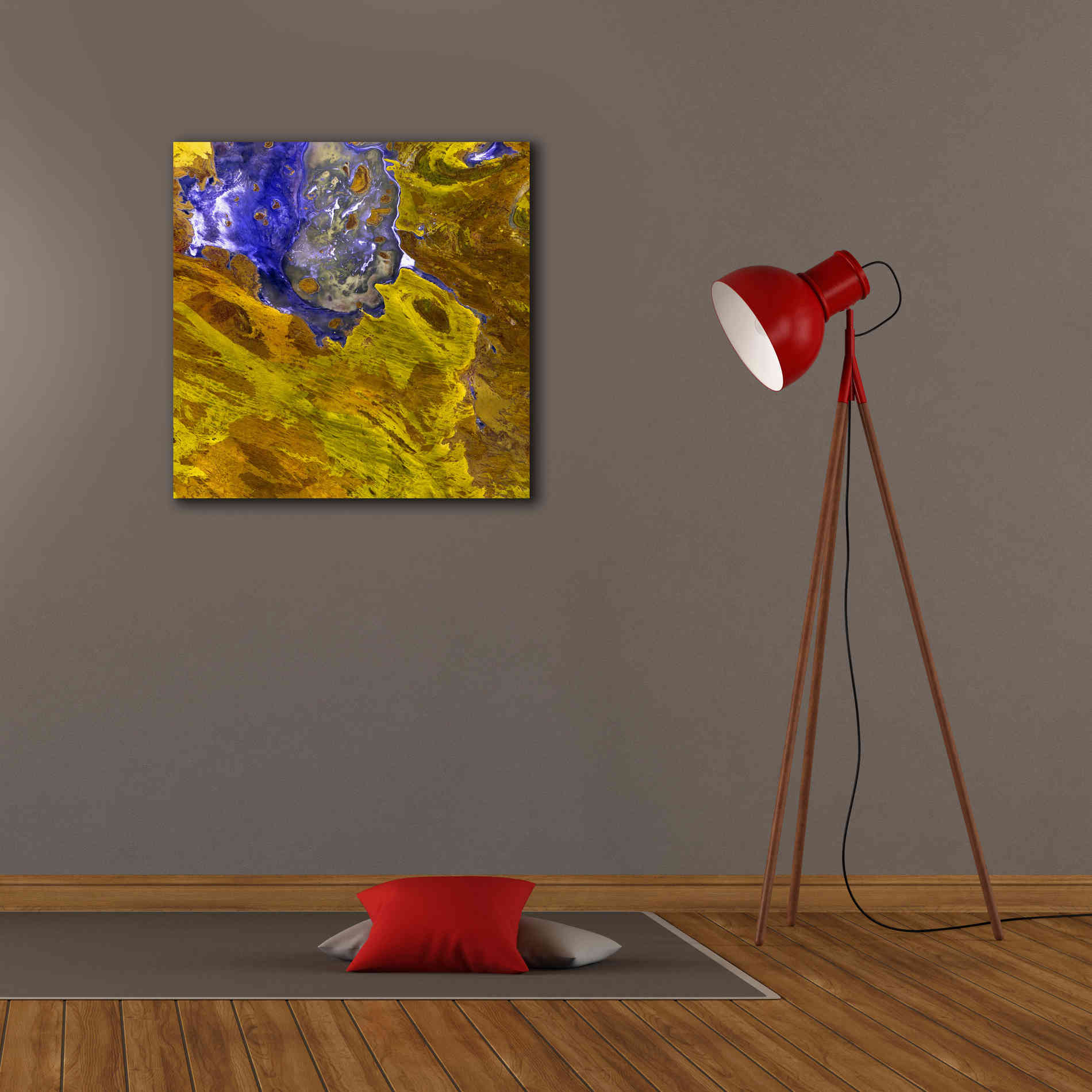 'Earth as Art: Lake Disappointment' Canvas Wall Art,26 x 26