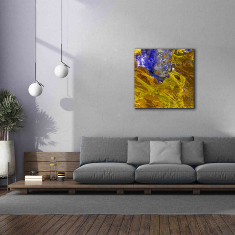Image of 'Earth as Art: Lake Disappointment' Canvas Wall Art,37 x 37