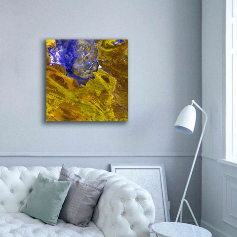 Image of 'Earth as Art: Lake Disappointment' Canvas Wall Art,37 x 37