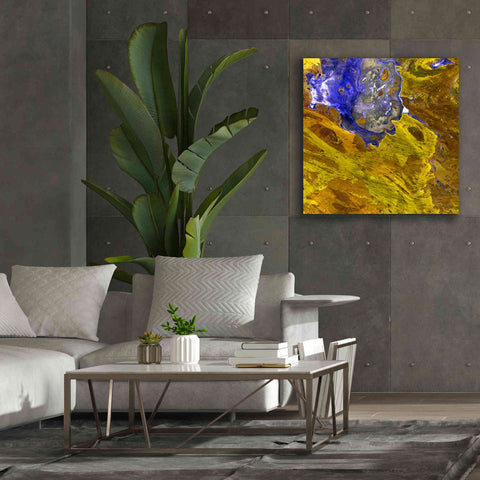 Image of 'Earth as Art: Lake Disappointment' Canvas Wall Art,37 x 37