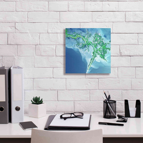 Image of 'Earth as Art: Mississippi River Delta' Canvas Wall Art,12 x 12