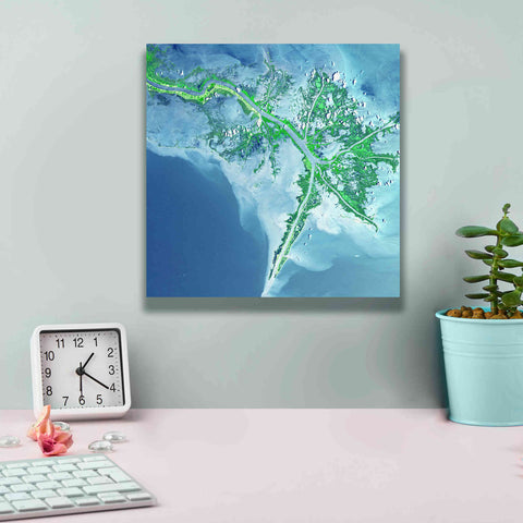 Image of 'Earth as Art: Mississippi River Delta' Canvas Wall Art,12 x 12