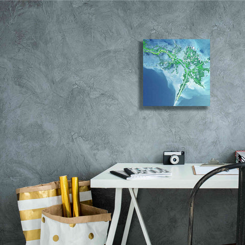 Image of 'Earth as Art: Mississippi River Delta' Canvas Wall Art,12 x 12