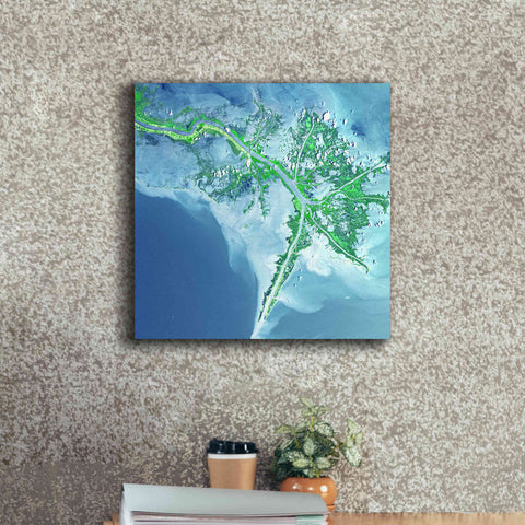 Image of 'Earth as Art: Mississippi River Delta' Canvas Wall Art,18 x 18