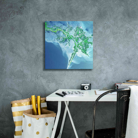 Image of 'Earth as Art: Mississippi River Delta' Canvas Wall Art,18 x 18