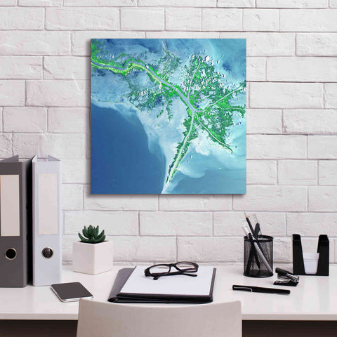 Image of 'Earth as Art: Mississippi River Delta' Canvas Wall Art,18 x 18