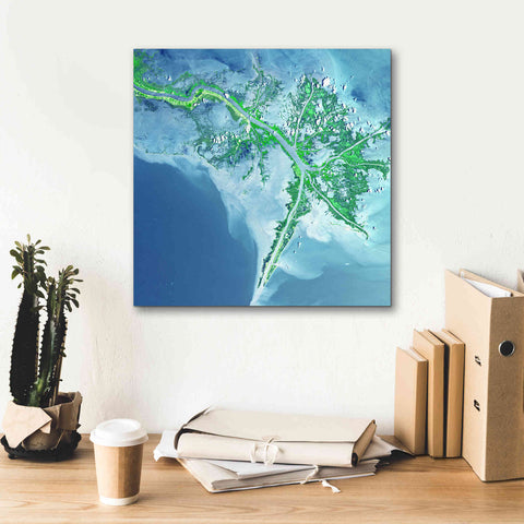 Image of 'Earth as Art: Mississippi River Delta' Canvas Wall Art,18 x 18