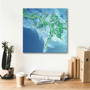 'Earth as Art: Mississippi River Delta' Canvas Wall Art,18 x 18