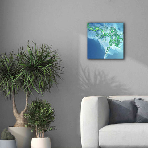 Image of 'Earth as Art: Mississippi River Delta' Canvas Wall Art,18 x 18