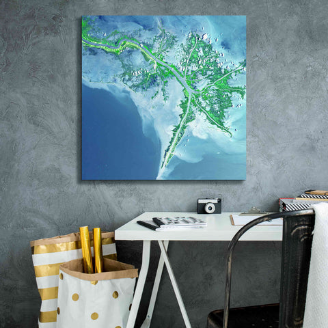 Image of 'Earth as Art: Mississippi River Delta' Canvas Wall Art,26 x 26