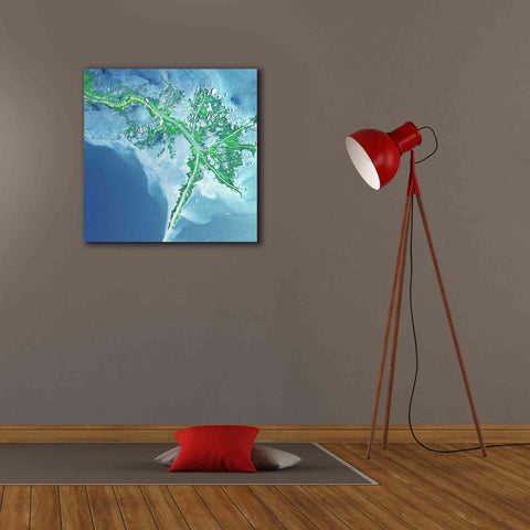 Image of 'Earth as Art: Mississippi River Delta' Canvas Wall Art,26 x 26
