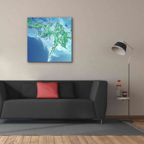 Image of 'Earth as Art: Mississippi River Delta' Canvas Wall Art,37 x 37