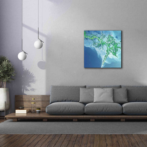 Image of 'Earth as Art: Mississippi River Delta' Canvas Wall Art,37 x 37