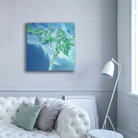 Image of 'Earth as Art: Mississippi River Delta' Canvas Wall Art,37 x 37