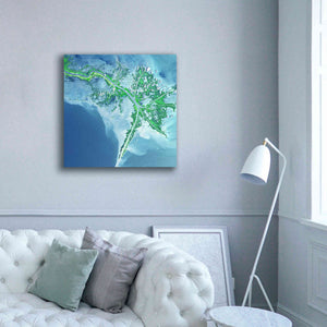 'Earth as Art: Mississippi River Delta' Canvas Wall Art,37 x 37