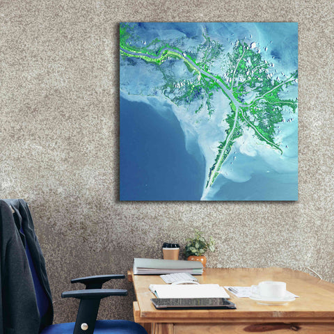 Image of 'Earth as Art: Mississippi River Delta' Canvas Wall Art,37 x 37