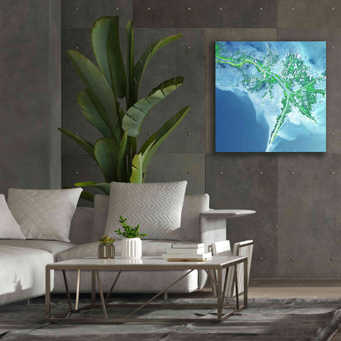 Image of 'Earth as Art: Mississippi River Delta' Canvas Wall Art,37 x 37