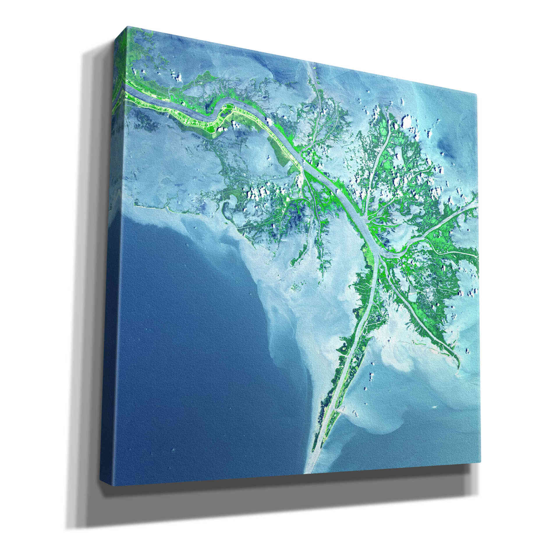 'Earth as Art: Mississippi River Delta' Canvas Wall Art