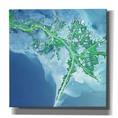 Image of 'Earth as Art: Mississippi River Delta' Canvas Wall Art