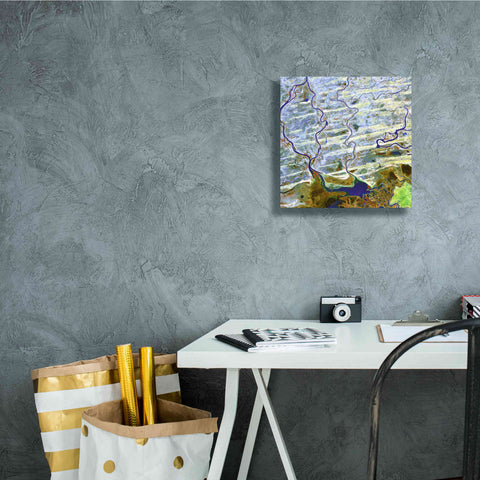 Image of 'Earth as Art: Niger River' Canvas Wall Art,12 x 12