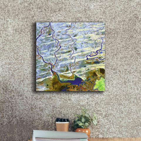 Image of 'Earth as Art: Niger River' Canvas Wall Art,18 x 18