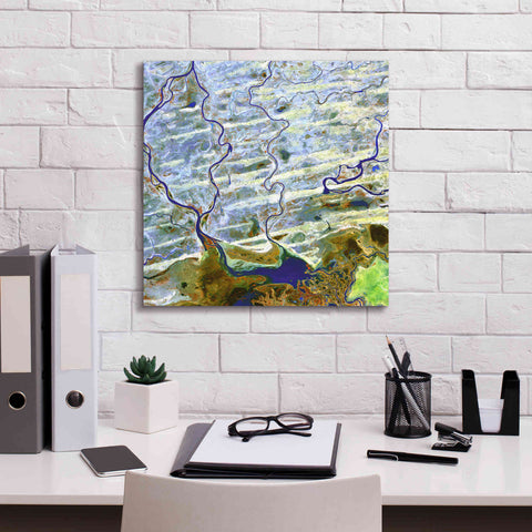 Image of 'Earth as Art: Niger River' Canvas Wall Art,18 x 18