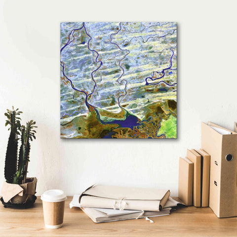 Image of 'Earth as Art: Niger River' Canvas Wall Art,18 x 18