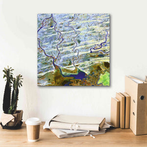 'Earth as Art: Niger River' Canvas Wall Art,18 x 18