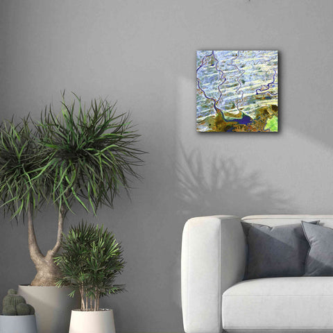 Image of 'Earth as Art: Niger River' Canvas Wall Art,18 x 18