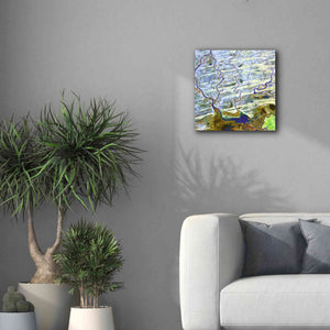 'Earth as Art: Niger River' Canvas Wall Art,18 x 18