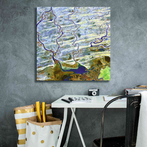 Image of 'Earth as Art: Niger River' Canvas Wall Art,26 x 26