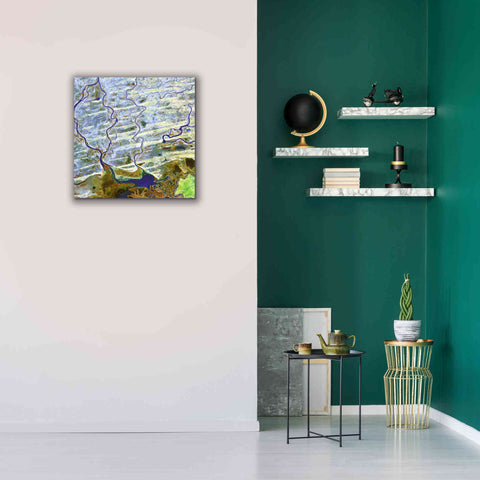 Image of 'Earth as Art: Niger River' Canvas Wall Art,26 x 26