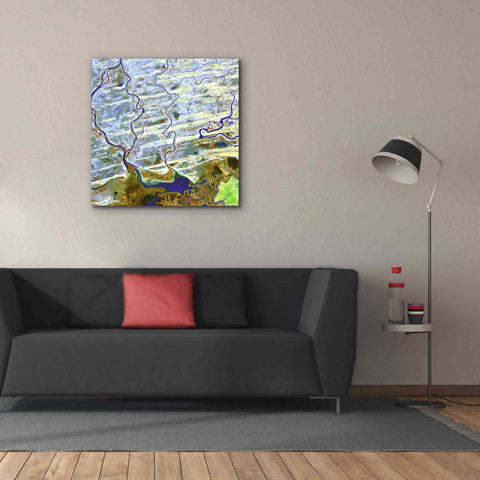 Image of 'Earth as Art: Niger River' Canvas Wall Art,37 x 37