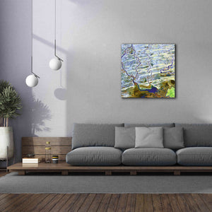 'Earth as Art: Niger River' Canvas Wall Art,37 x 37