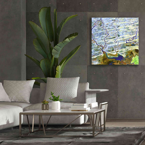 Image of 'Earth as Art: Niger River' Canvas Wall Art,37 x 37