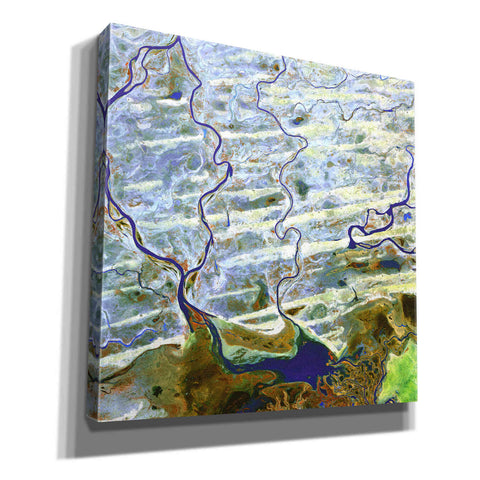 Image of 'Earth as Art: Niger River' Canvas Wall Art