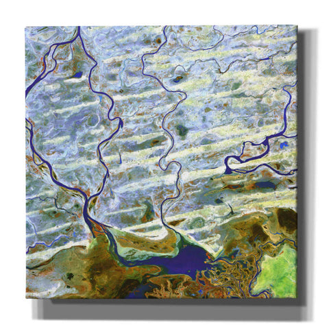 Image of 'Earth as Art: Niger River' Canvas Wall Art