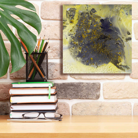 Image of 'Earth as Art: Pinacate Volcano' Canvas Wall Art,12 x 12