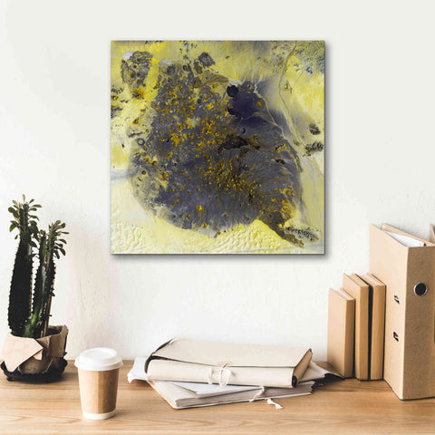 Image of 'Earth as Art: Pinacate Volcano' Canvas Wall Art,18 x 18