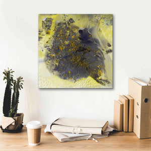 'Earth as Art: Pinacate Volcano' Canvas Wall Art,18 x 18