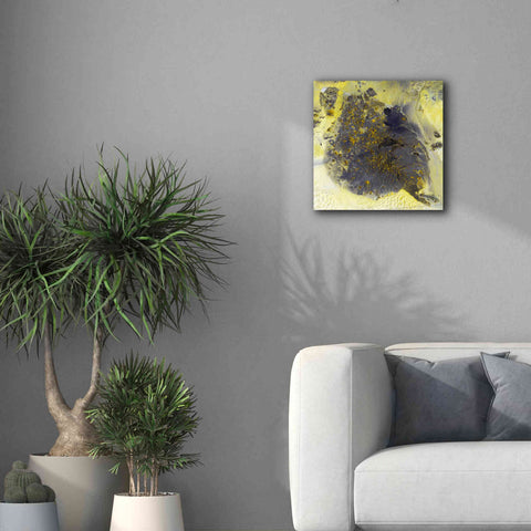 Image of 'Earth as Art: Pinacate Volcano' Canvas Wall Art,18 x 18