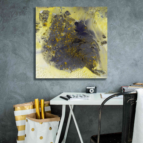 Image of 'Earth as Art: Pinacate Volcano' Canvas Wall Art,26 x 26