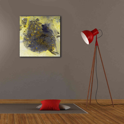 Image of 'Earth as Art: Pinacate Volcano' Canvas Wall Art,26 x 26