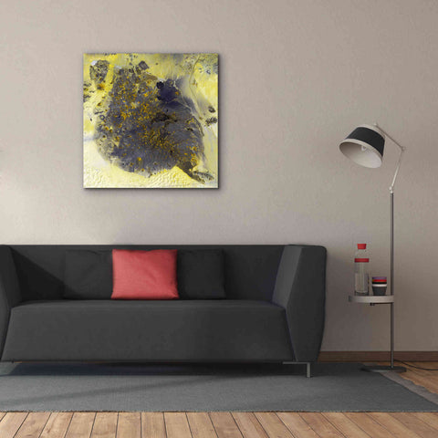 Image of 'Earth as Art: Pinacate Volcano' Canvas Wall Art,37 x 37