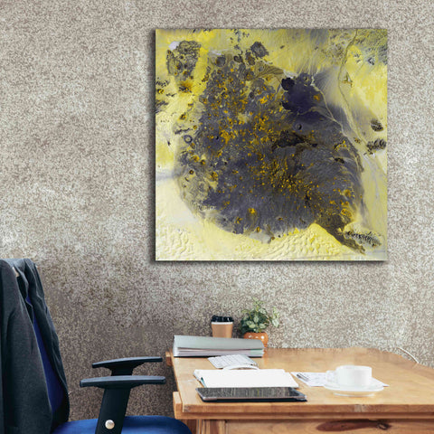 Image of 'Earth as Art: Pinacate Volcano' Canvas Wall Art,37 x 37