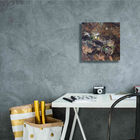 Image of 'Earth as Art: Shoemaker ' Canvas Wall Art,12 x 12