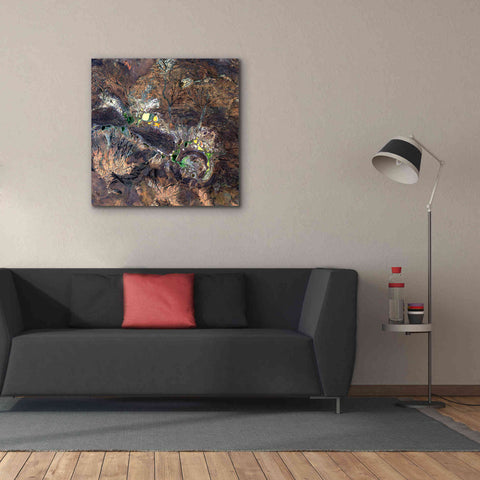 Image of 'Earth as Art: Shoemaker ' Canvas Wall Art,37 x 37